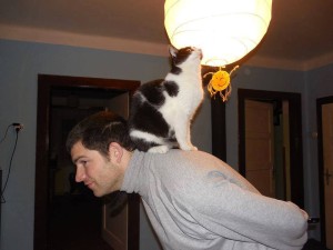 1474564_246525652178712_741669337_n