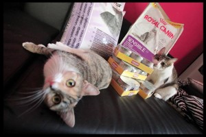 1925998_758766517466760_664816683_o