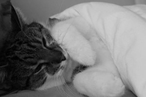 Oliver