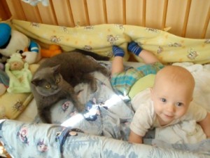 kočka a dítě