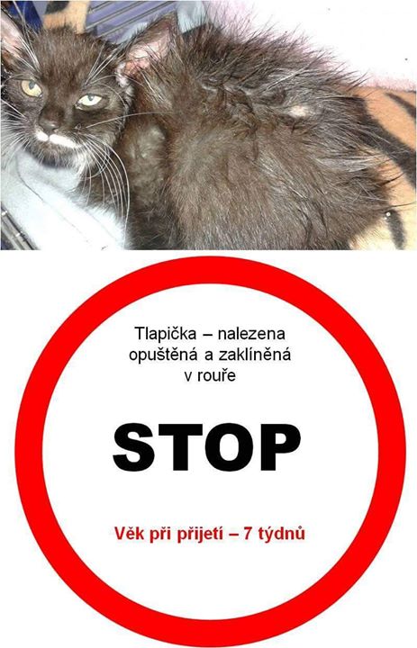 06380bafccd1f0d9d525