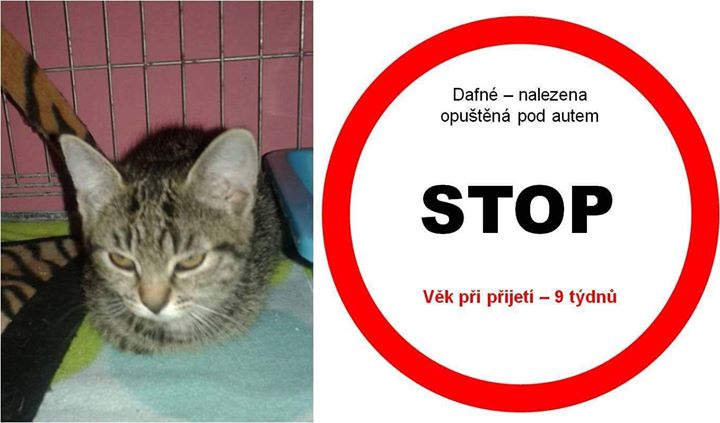 066eea3a77f2eac4b438