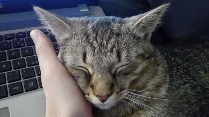 09deb7c44d4878bd990f