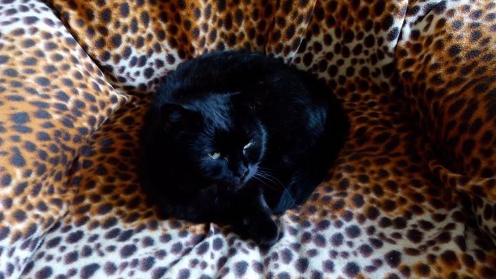 0cc2368880a283bbeba4