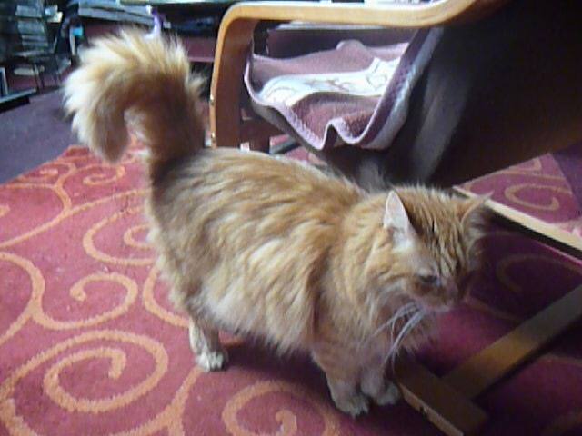 13522061_638598379638102_5851001074266267008_n