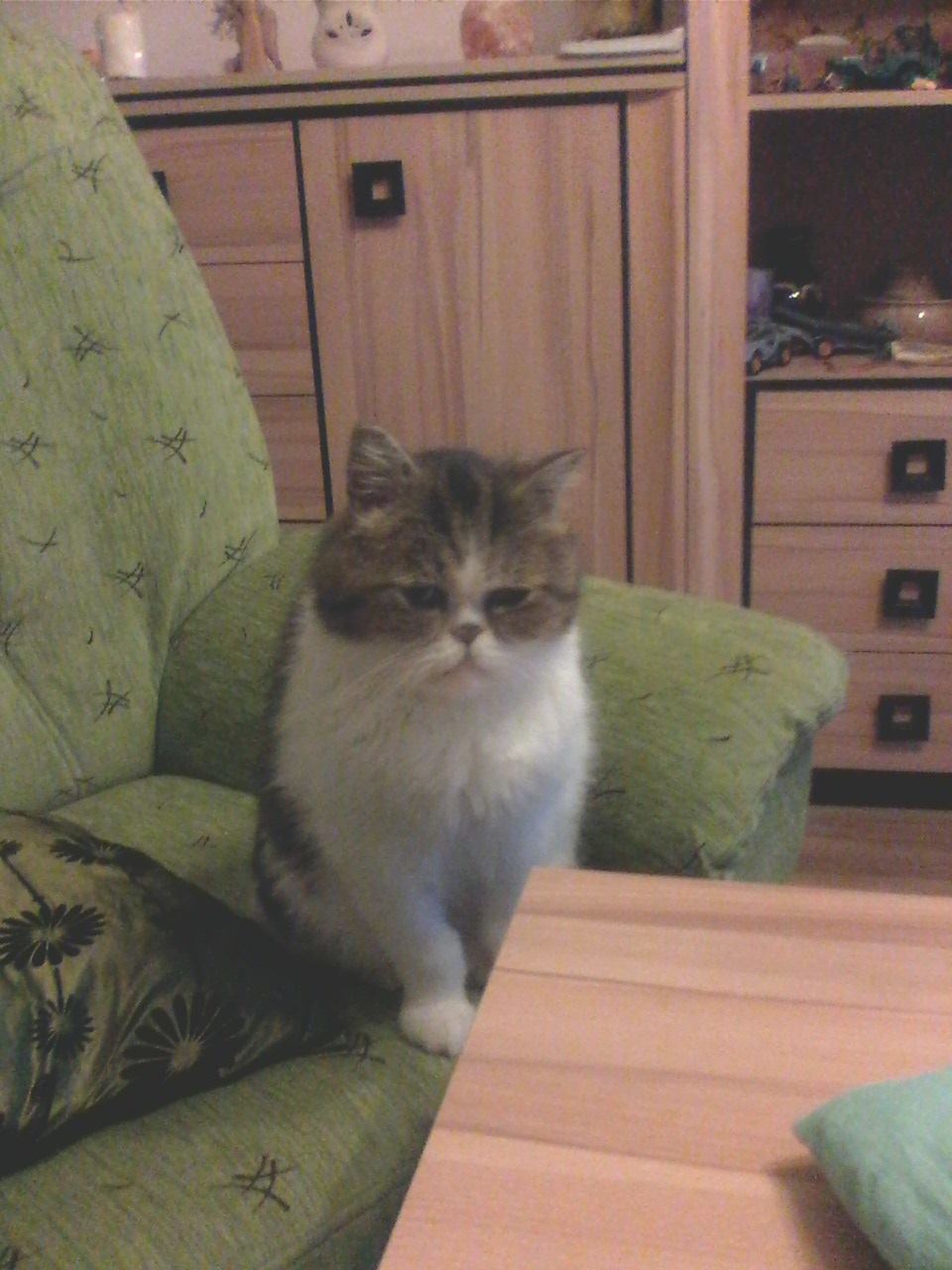 13555817_10206090813297065_1584296708_o