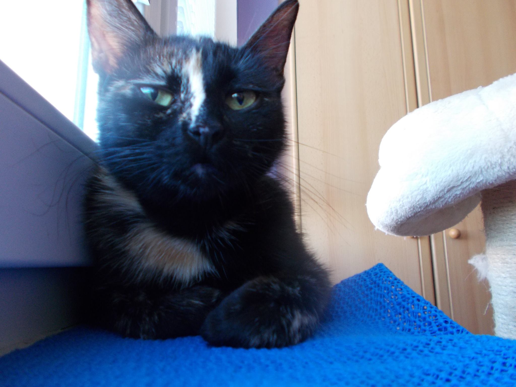 13558825_640207839477156_7061011195308760318_o