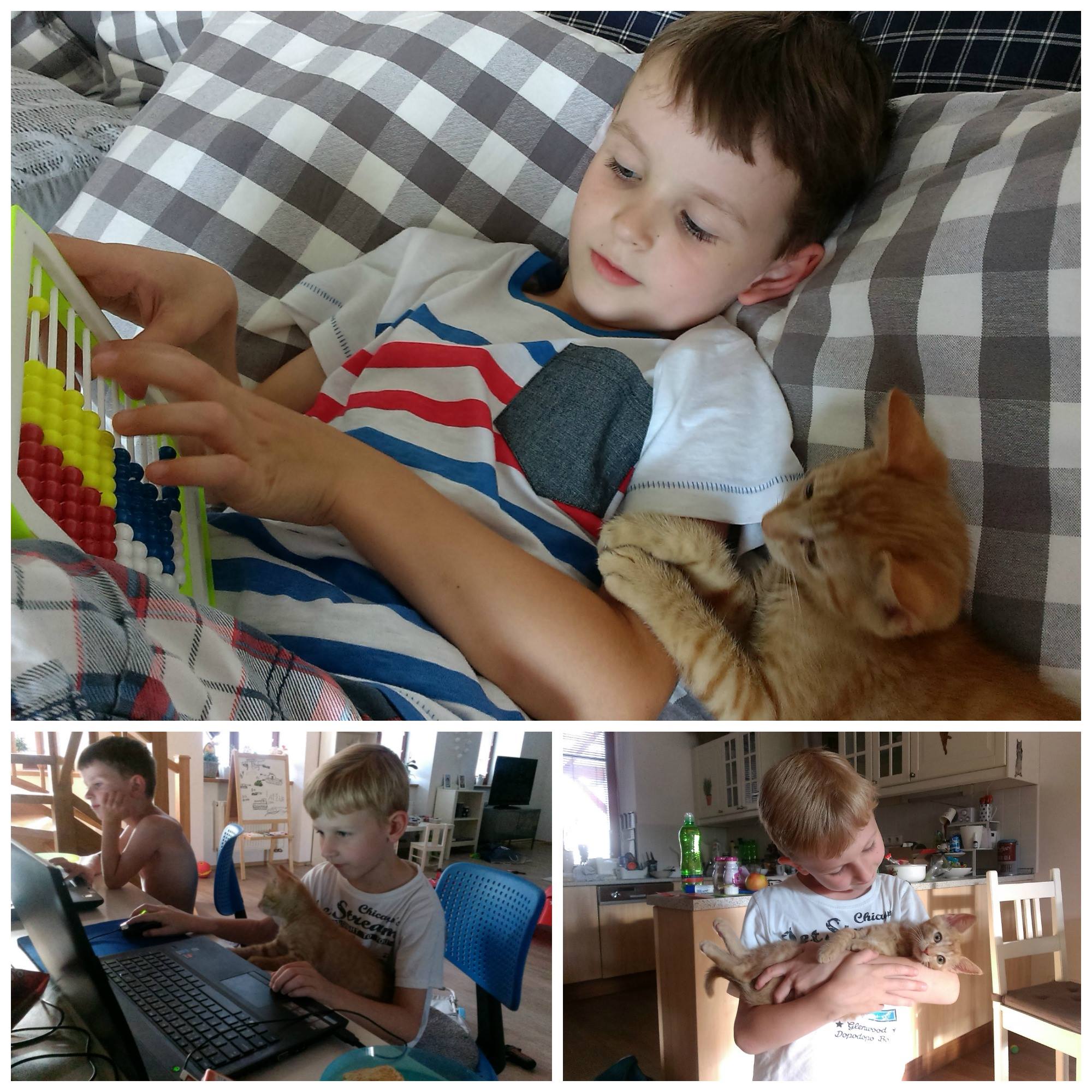 13558890_639516826212924_8592982858309106963_o