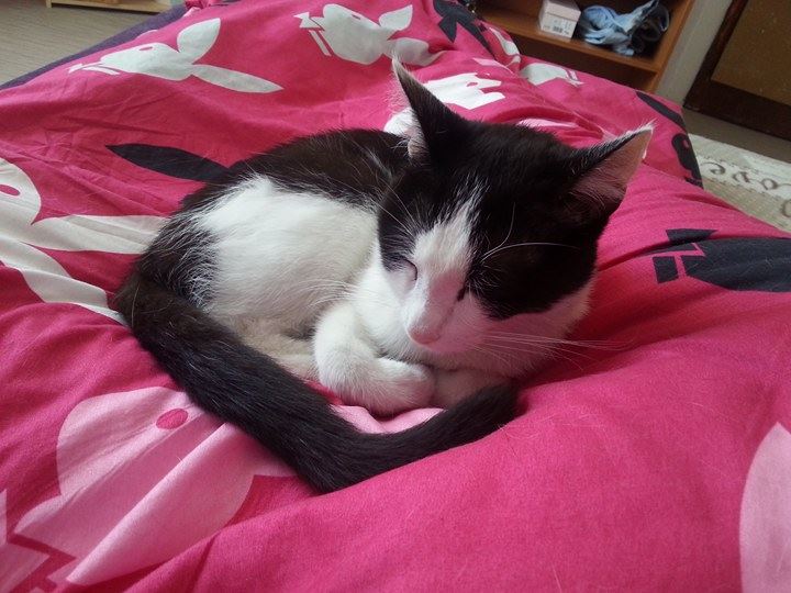 13563131_10205393780038798_998063149_n