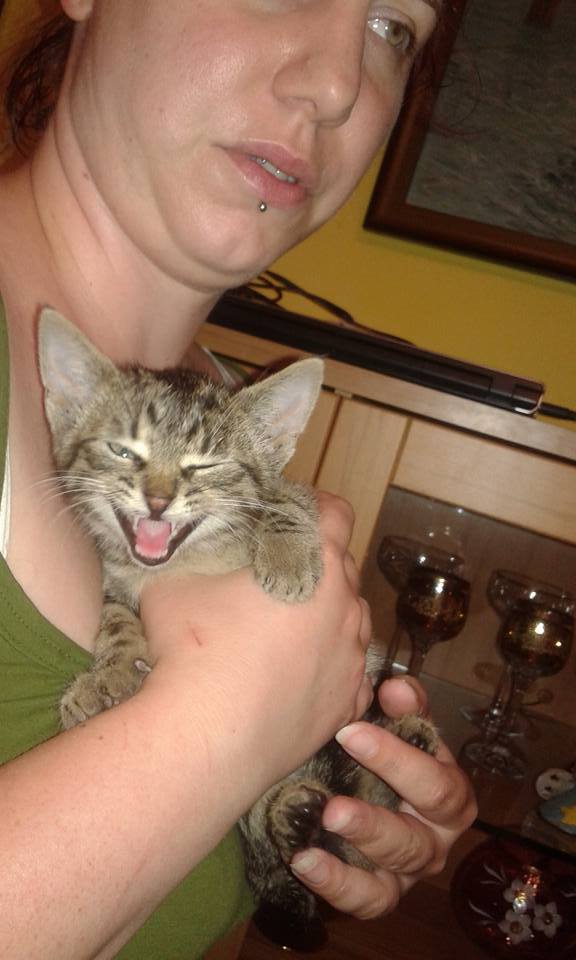 13567285_639555552875718_4606080696185059323_n