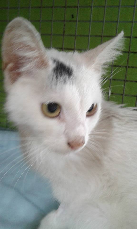 13567304_641241376040469_8189269508097018823_n