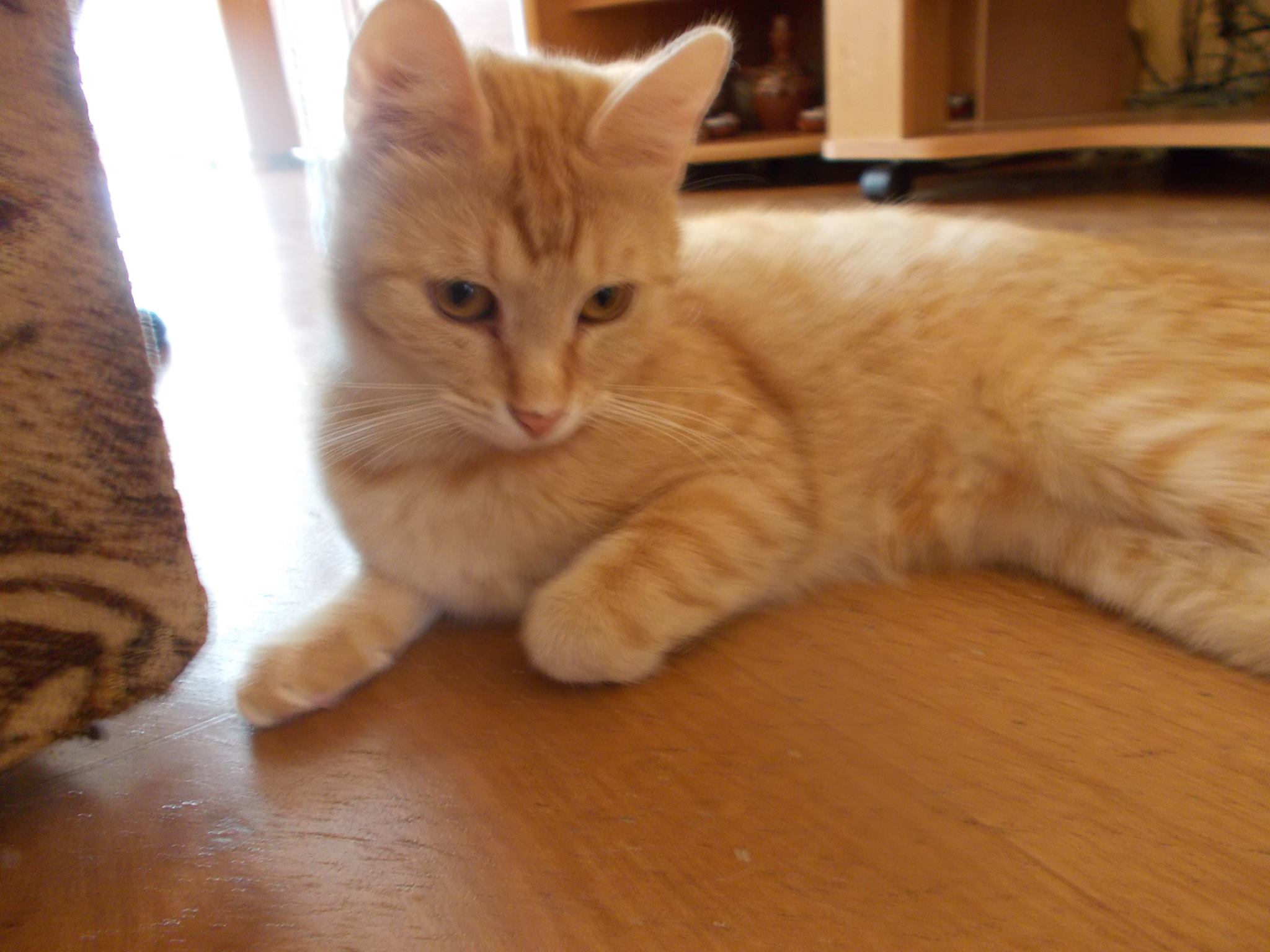 13568927_640207732810500_7926700954003975758_o