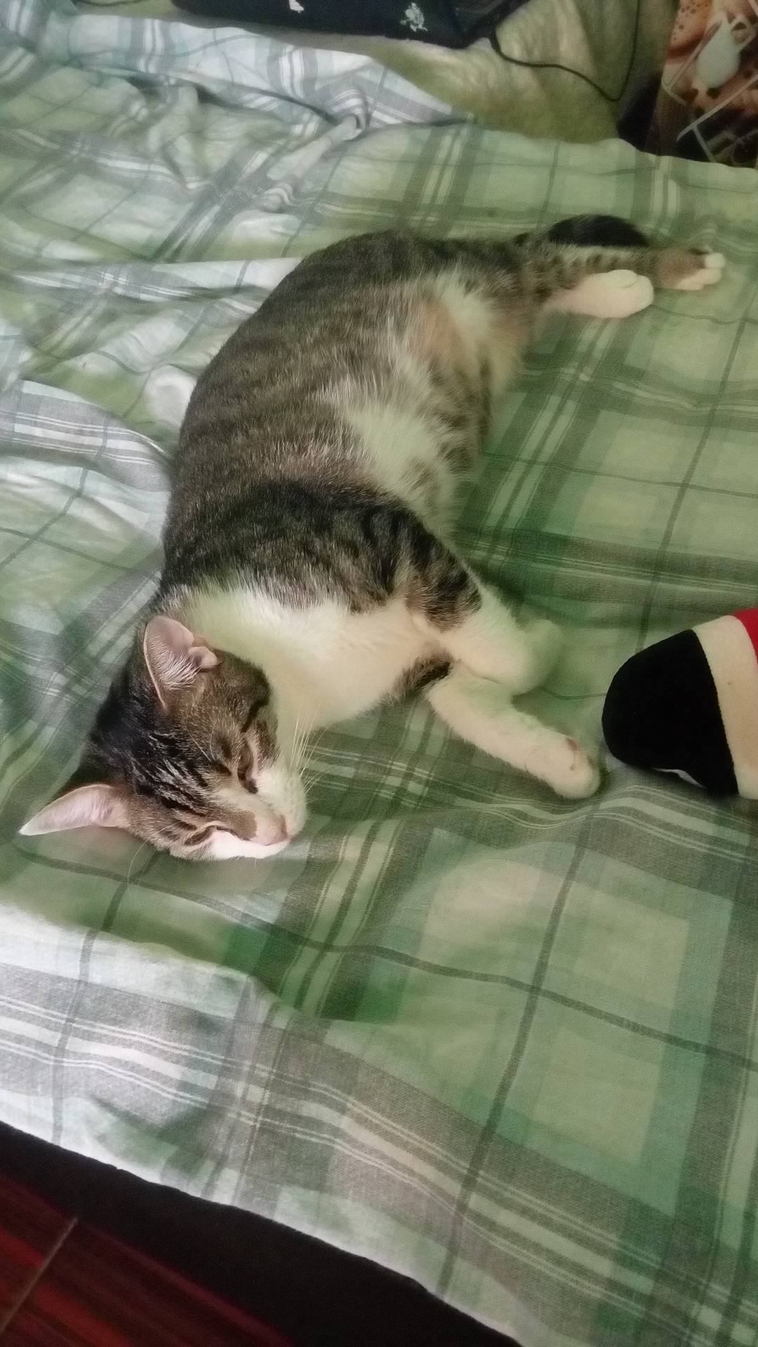 13575470_10204942885212321_1541090101_o