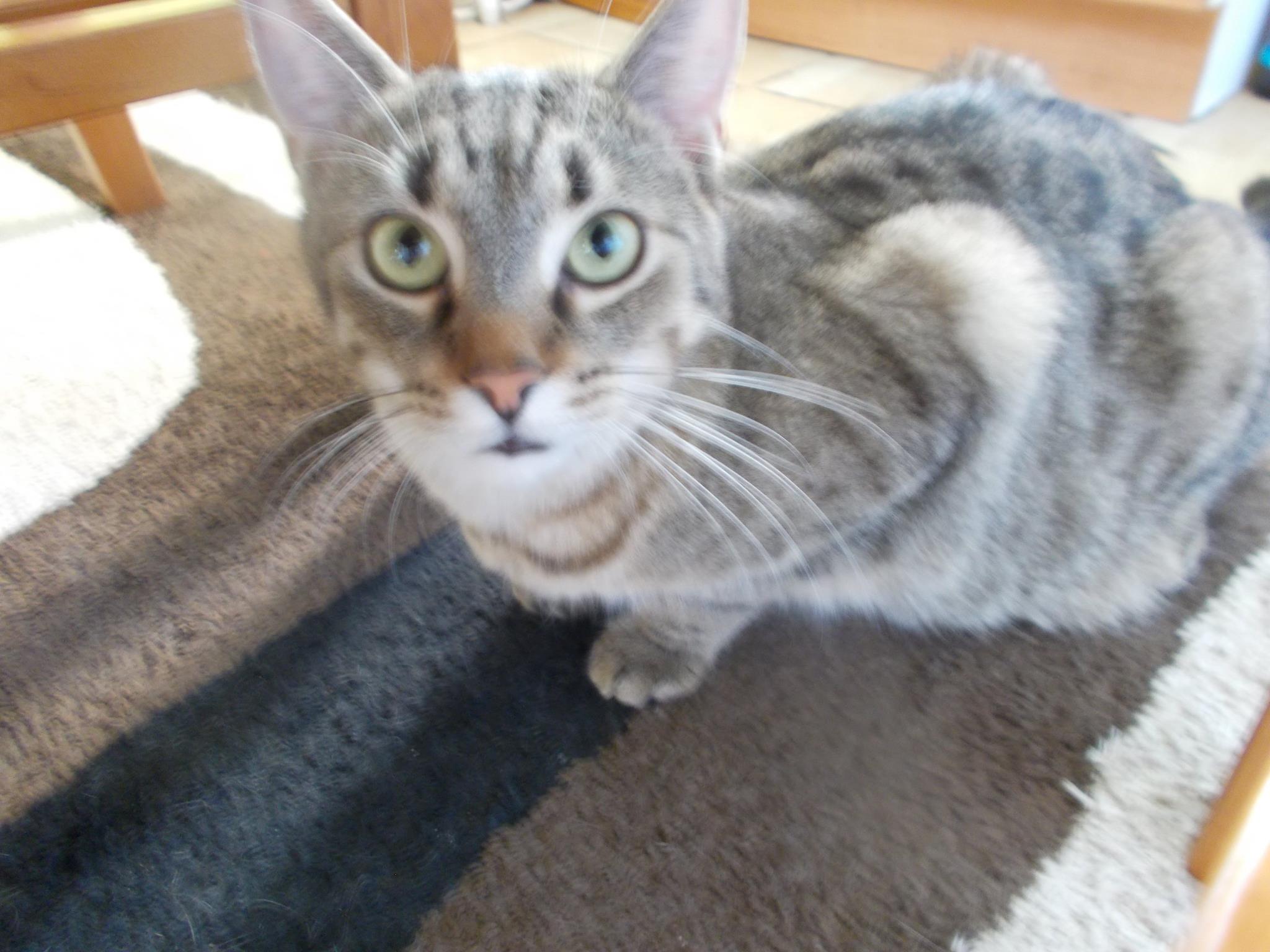 13576692_640207776143829_2177400409308916053_o