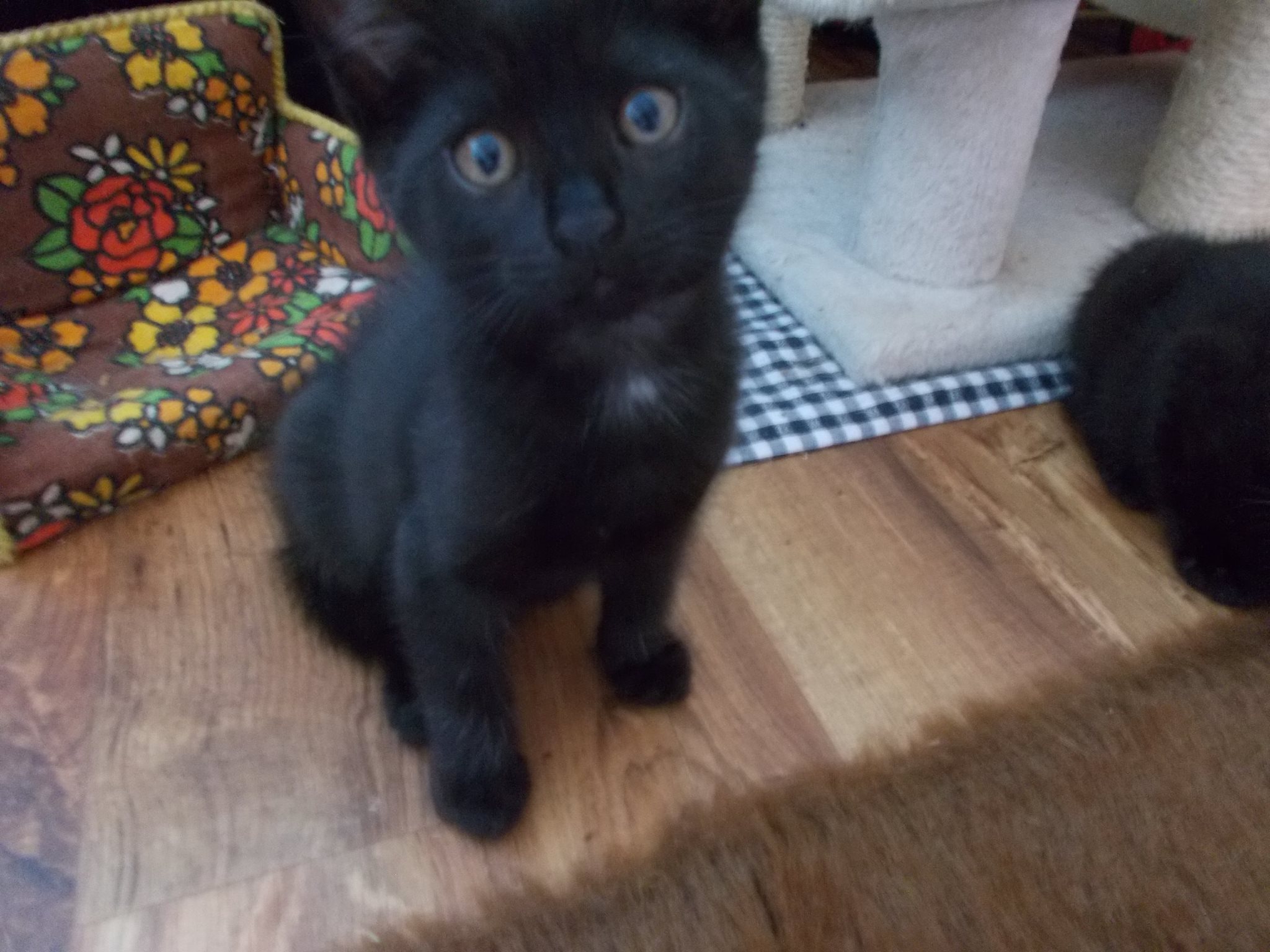 13576871_640207652810508_6278844108476317904_o