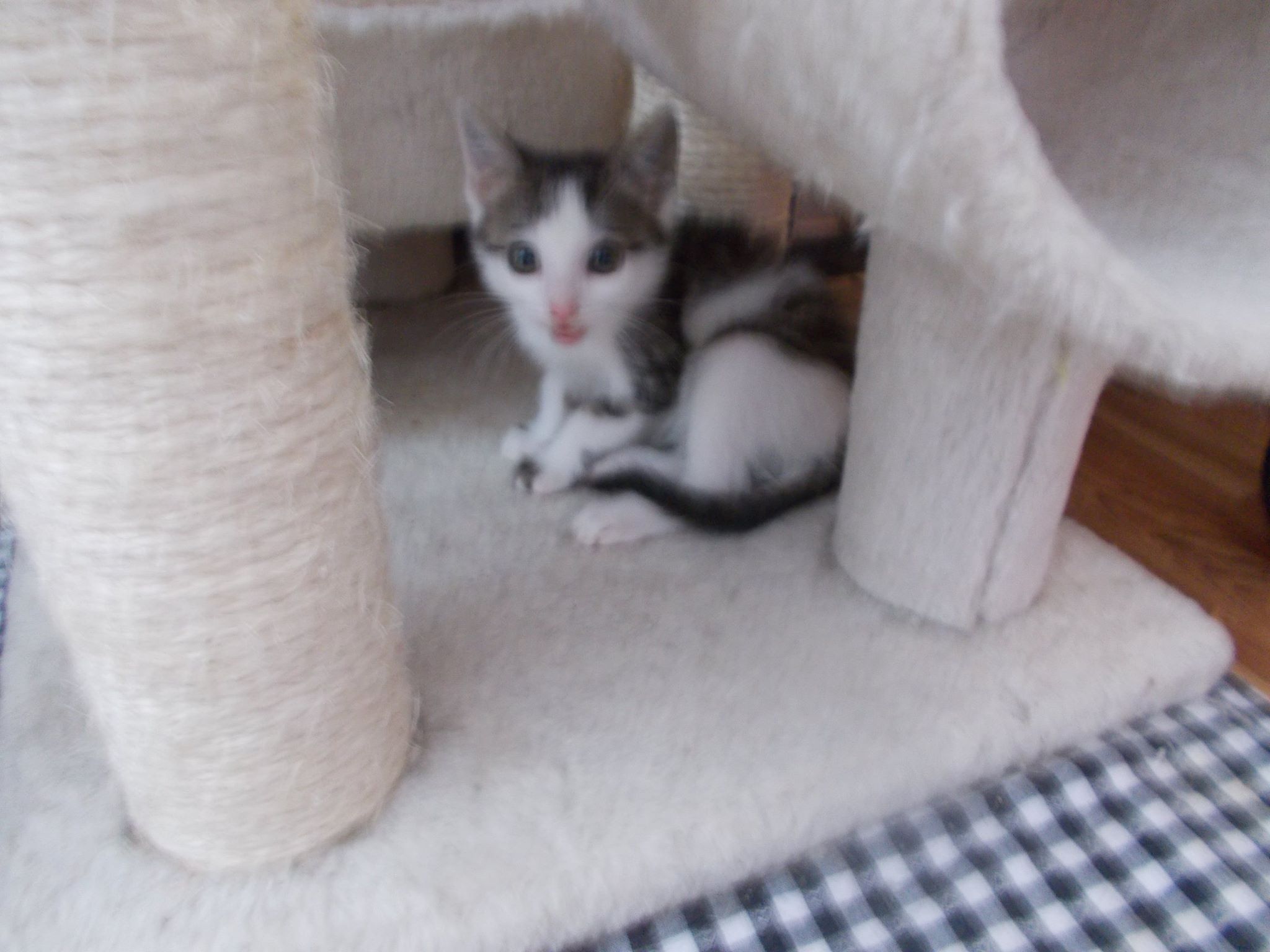 13580590_640207919477148_1274057757351642160_o