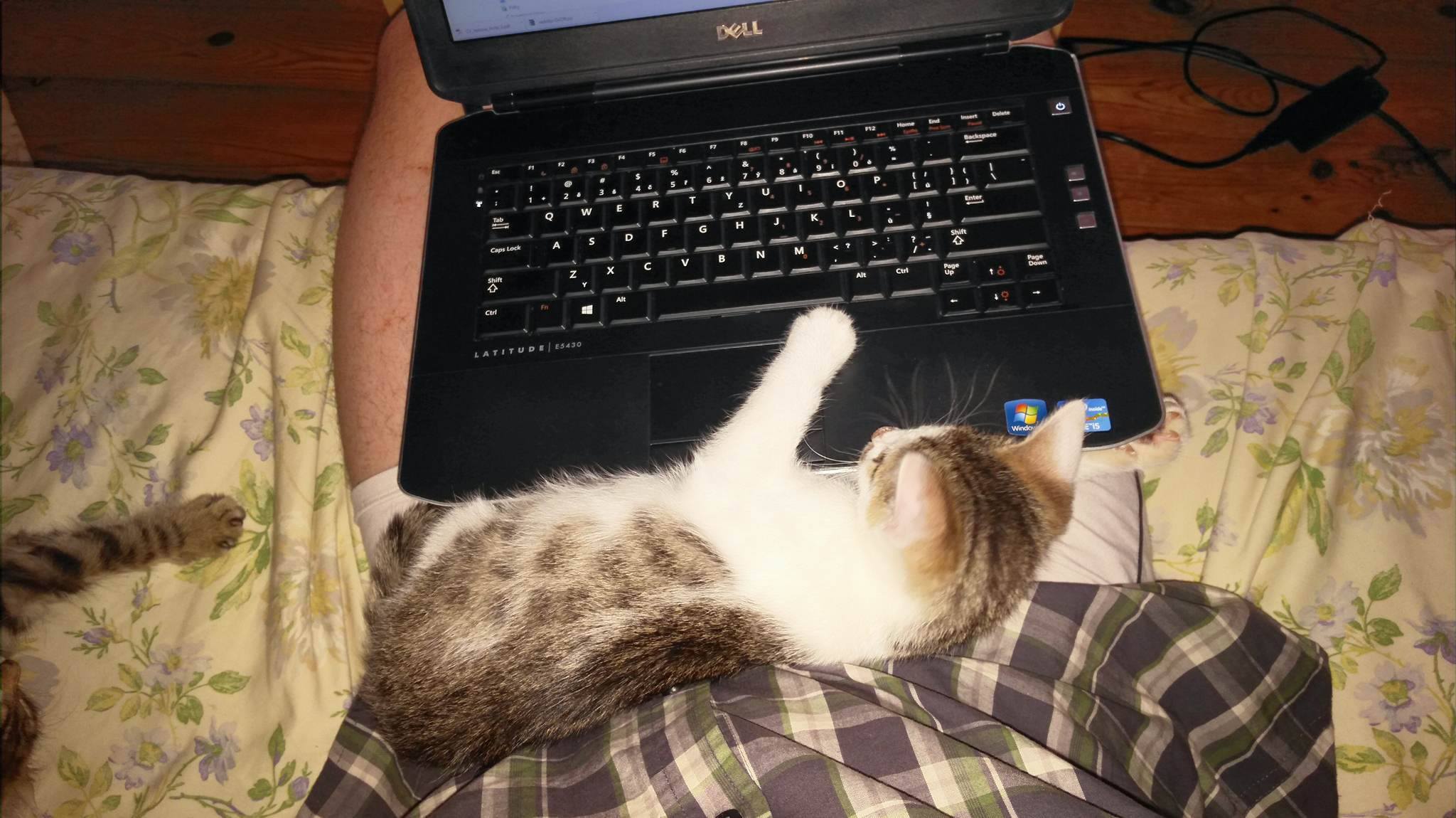 13585211_640652942765979_8615354545358341396_o