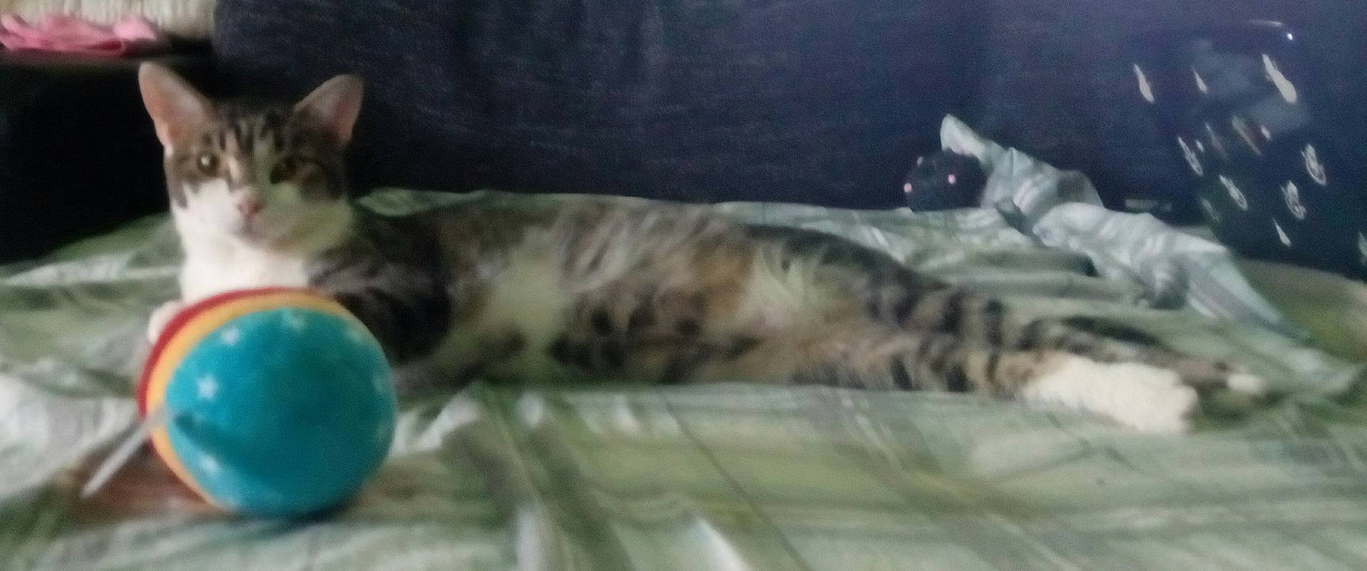 13588859_10204942884852312_239441091_o