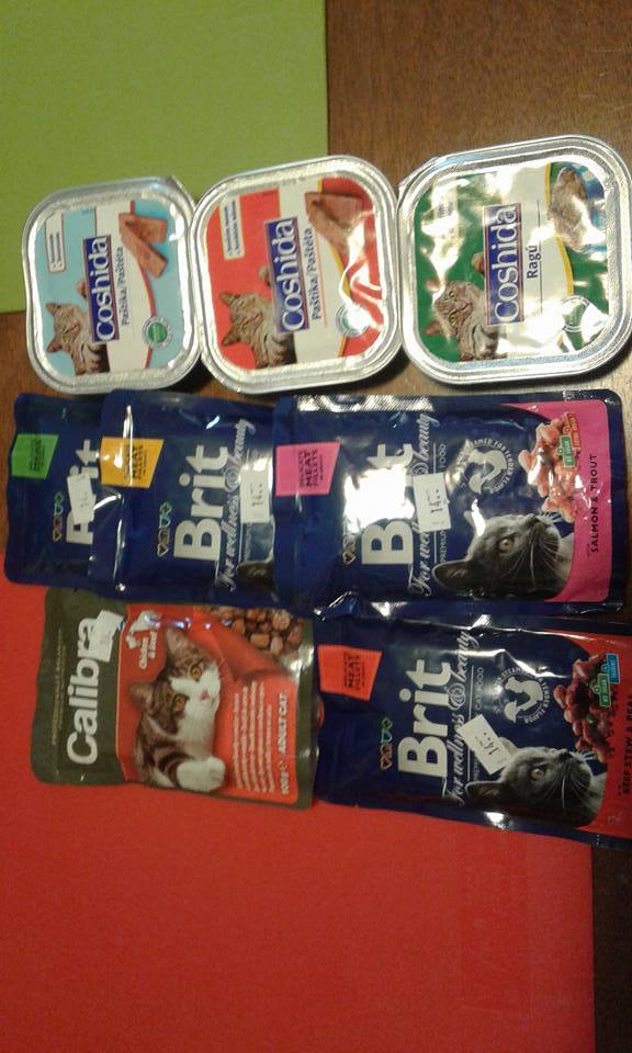 13599854_642366435927963_174351001185915137_n