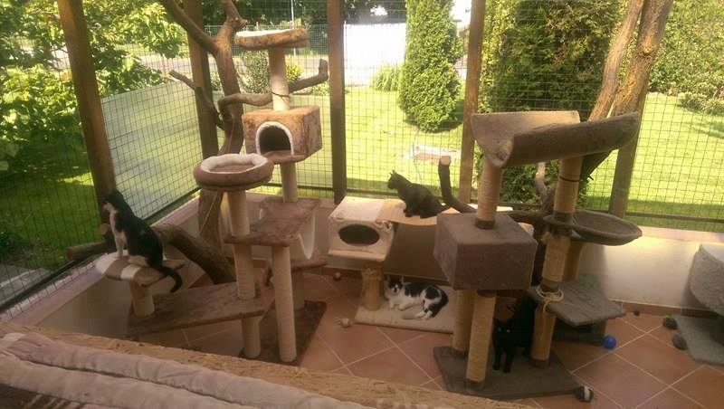 13599871_642416475922959_4508278459140635747_n