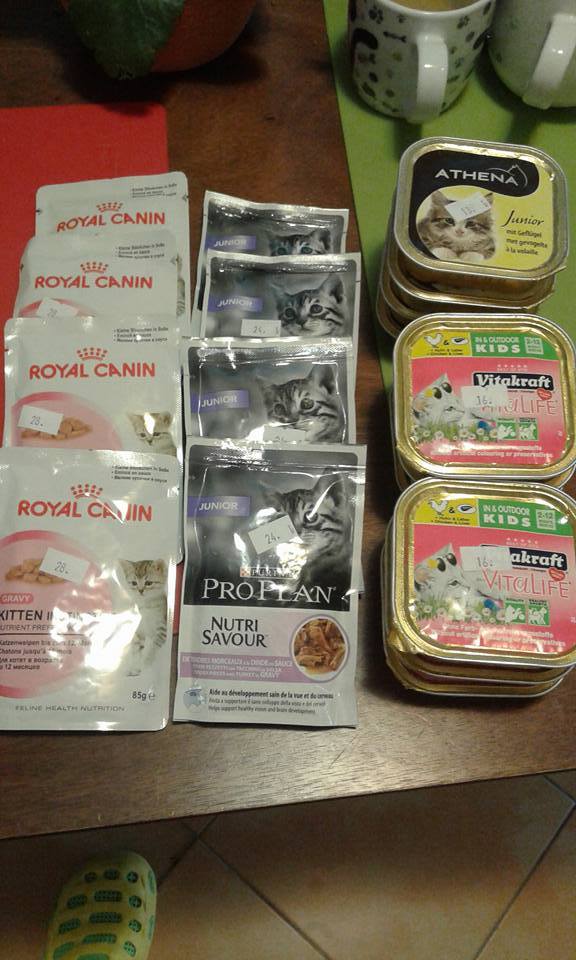 13614917_642366319261308_3313415684899134925_n