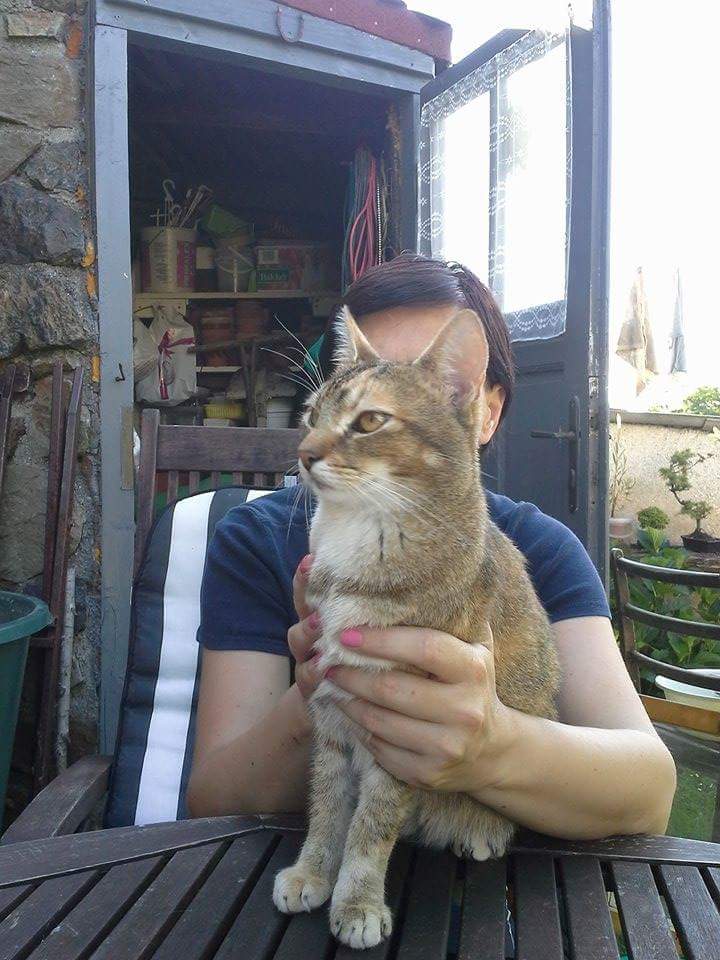 13615395_642807019217238_3934969887773054396_n