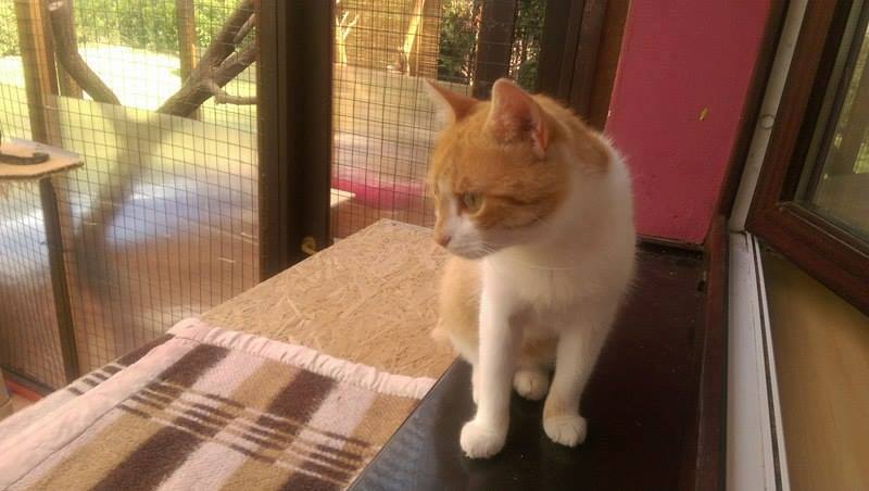 13619890_642416722589601_3377956422730172896_n