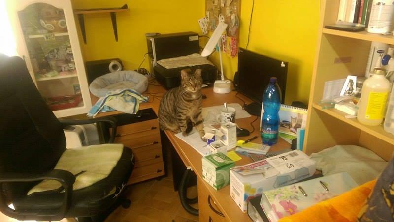 13619937_642416715922935_149480581560941701_n