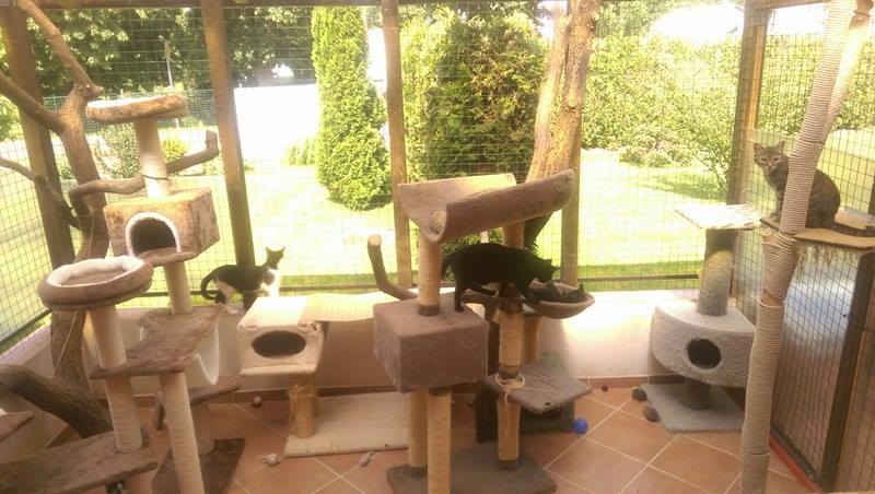 13620882_642416455922961_8150405616890834677_n