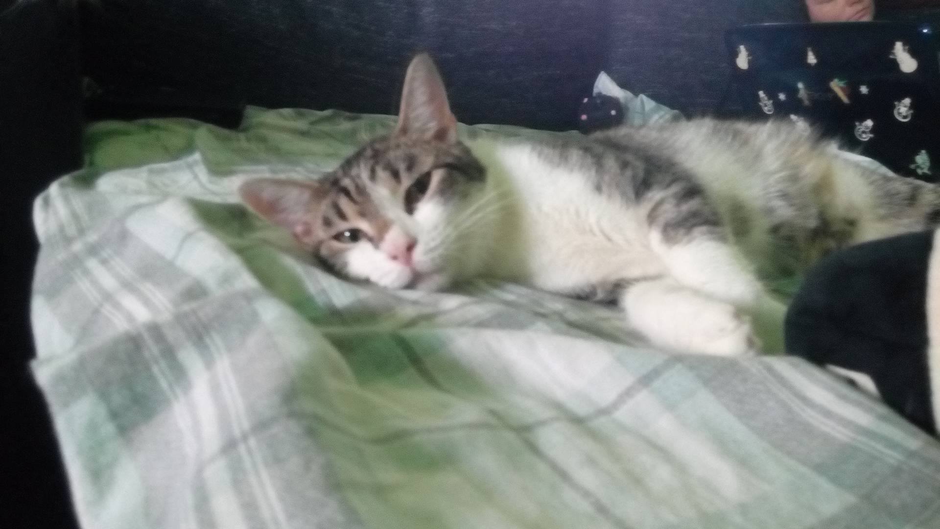 13621691_10204942884932314_1865164770_o