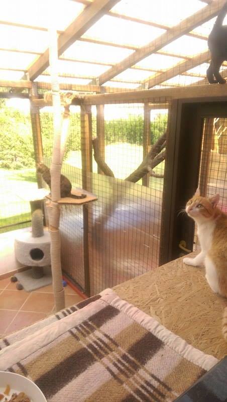 13626357_642416485922958_9037176330324625443_n