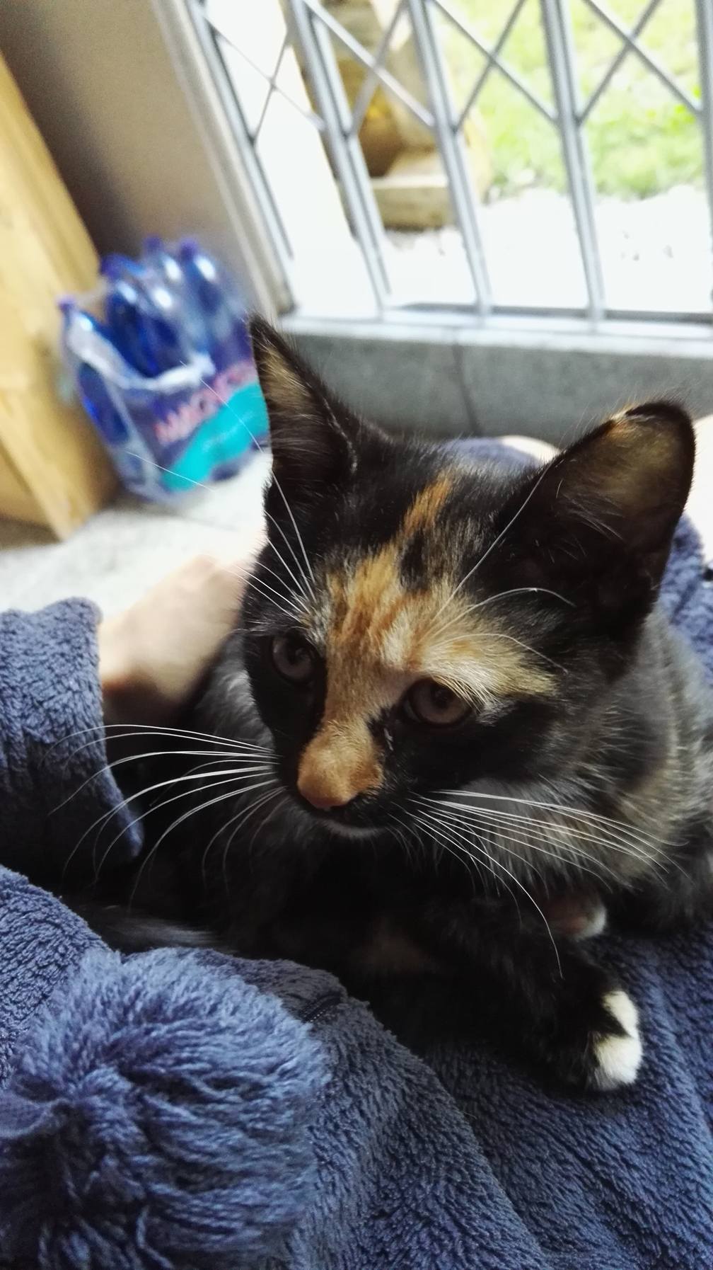 13632672_10209929207573845_1932041986_o