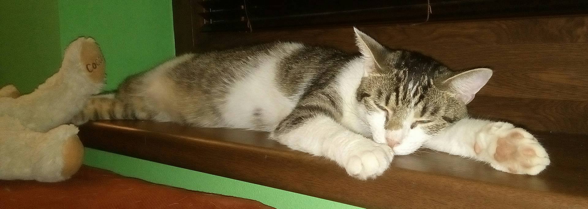 13632702_10204942888092393_1865006155_o