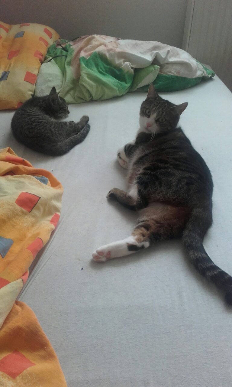 13632757_1272862836060177_1467978705_o