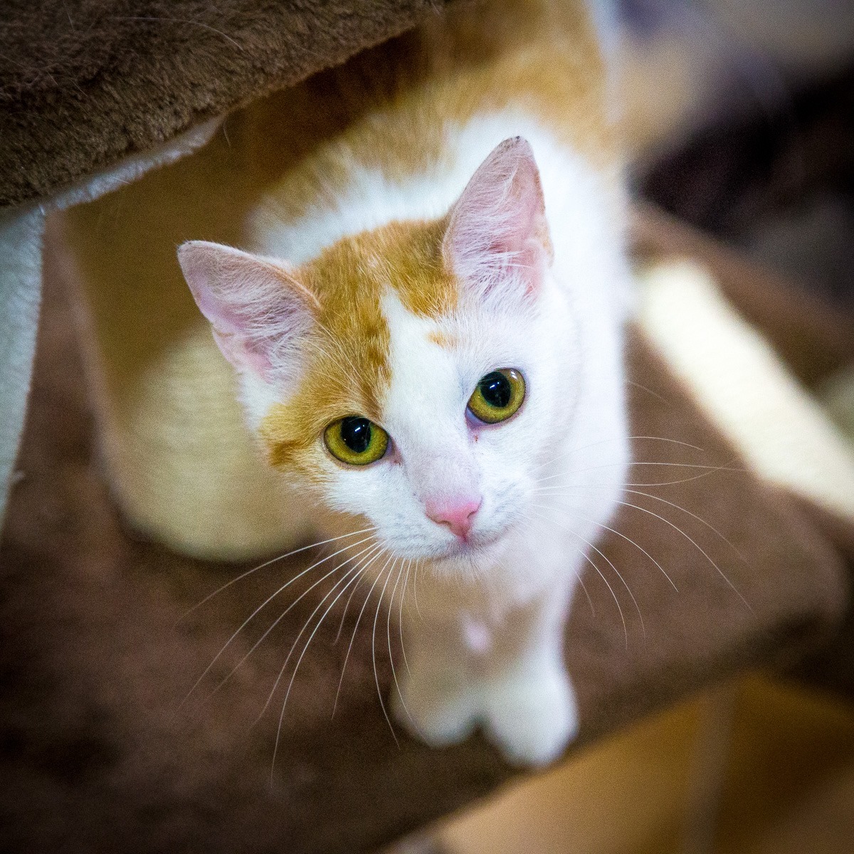 13653189_642412465923360_7989789710839094340_o