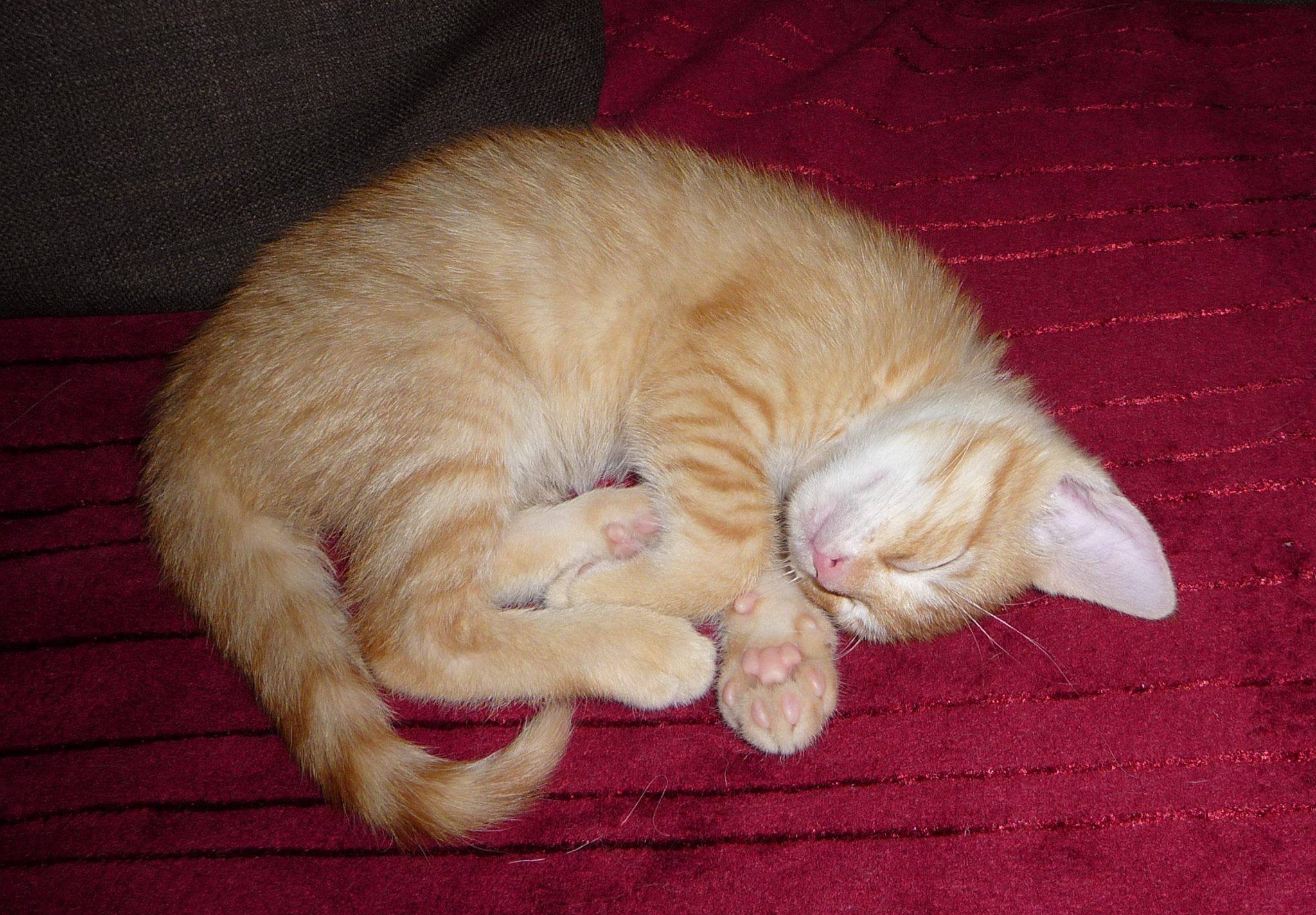 13662257_643434795821127_3532188145098142005_o