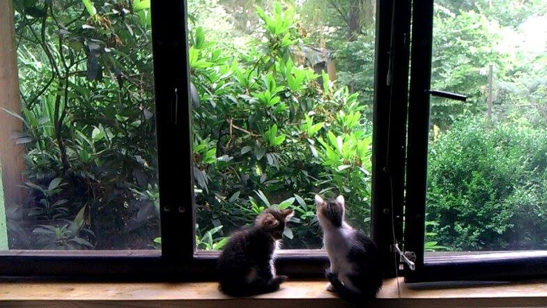 13664742_404766839693629_466202002_n