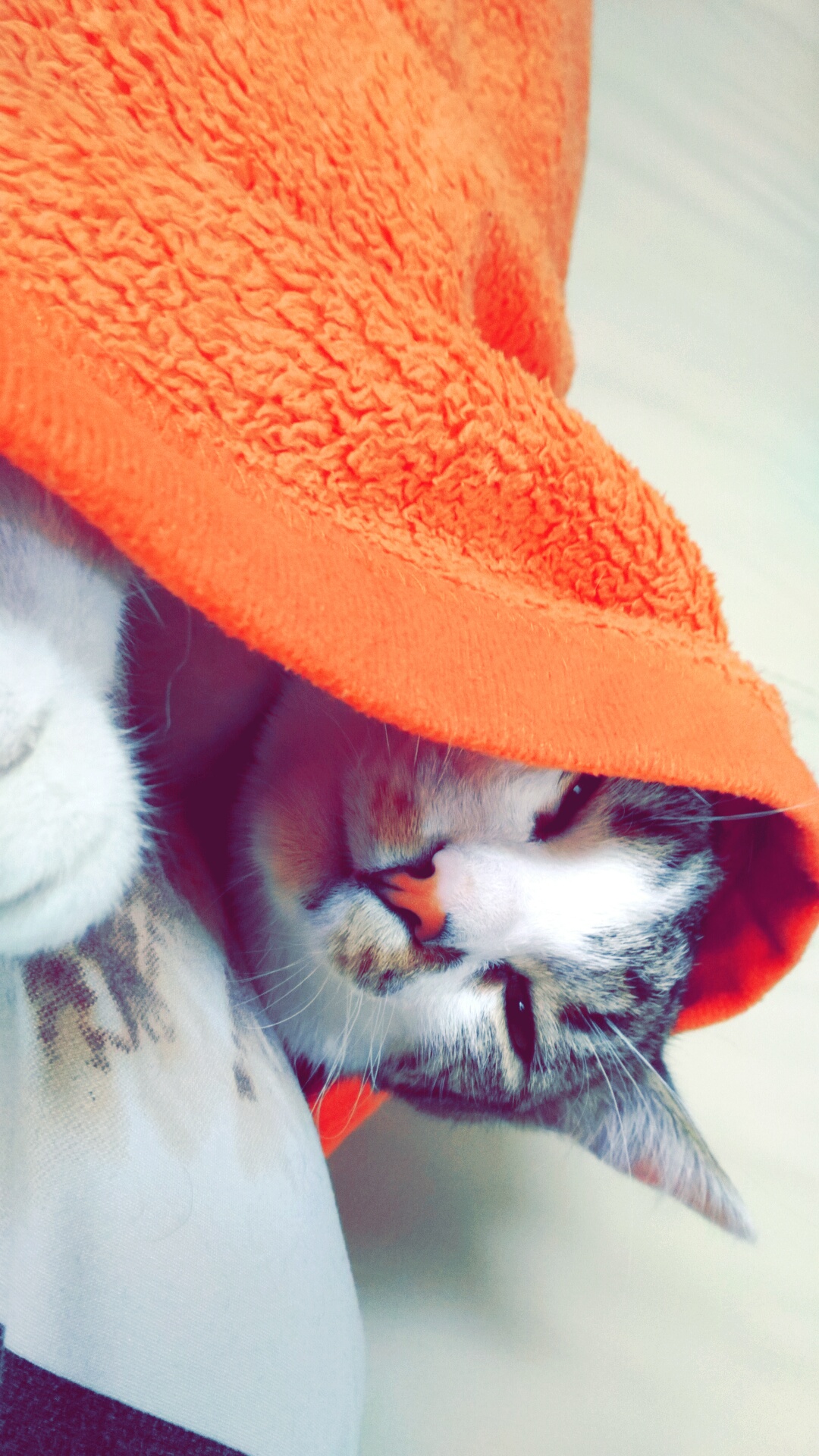 Snapchat-6549082913404195175