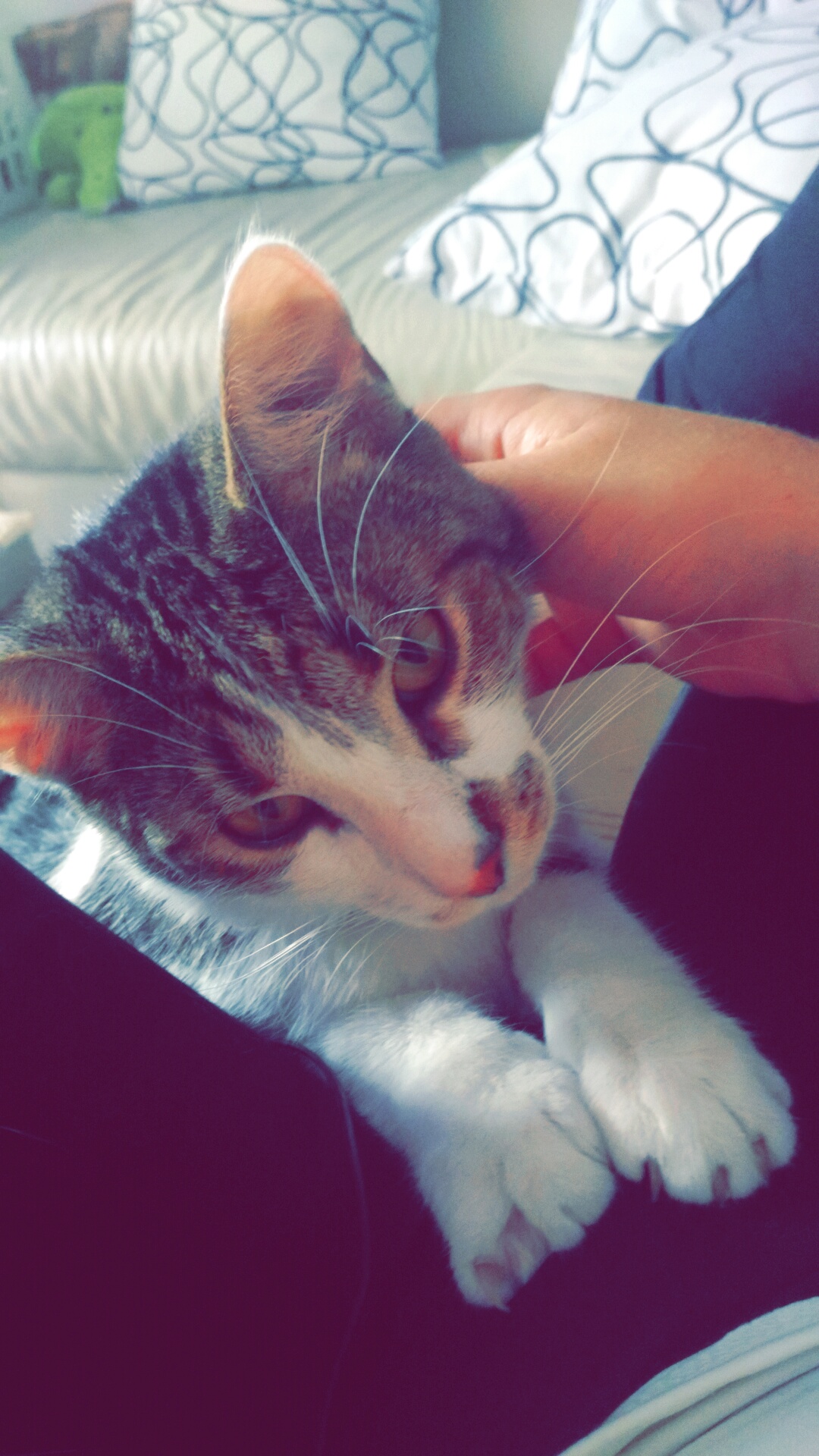 Snapchat-7251214536876304675