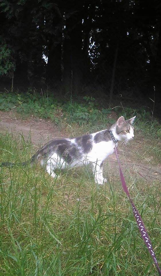 received_1309646959045769