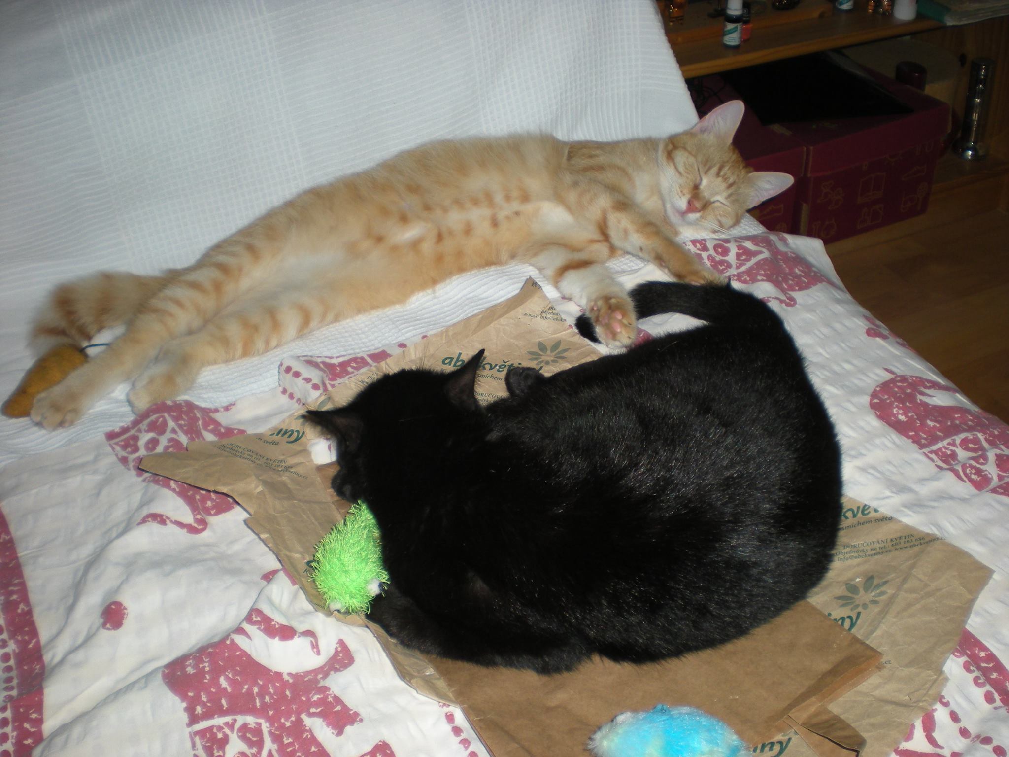 14444944_685440844953855_4021818131573038273_o