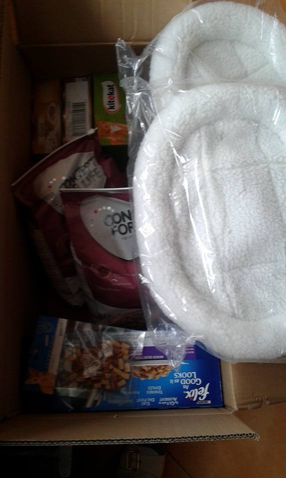 14469446_685583224939617_7768756386652911224_n