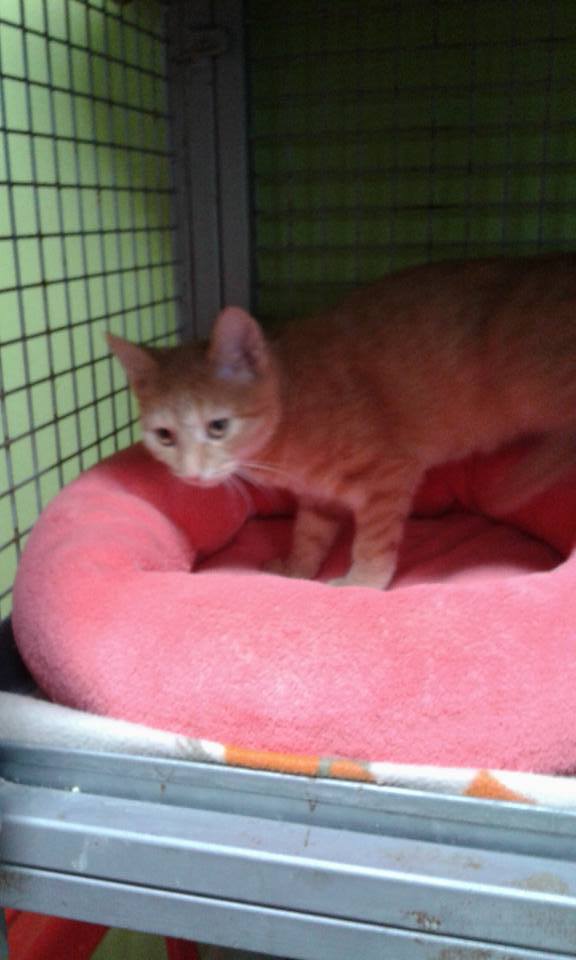 14469598_685599914937948_1645717614508412026_n