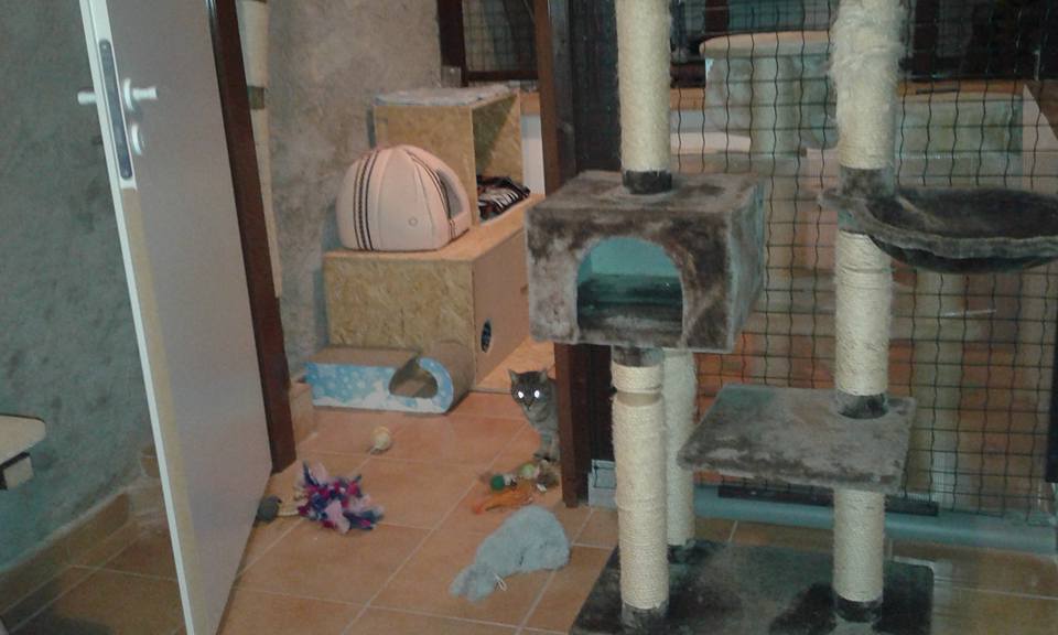 14492600_686557298175543_6637198327536081755_n