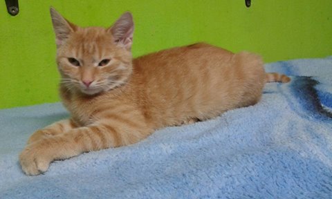 14494662_686547598176513_3827159037772485046_n