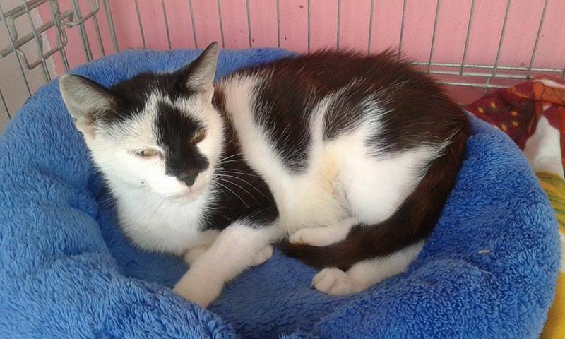 14494893_683650408466232_8416682899243422255_n