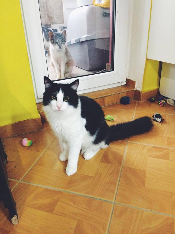 14502750_692583800906226_6344569229991515995_n