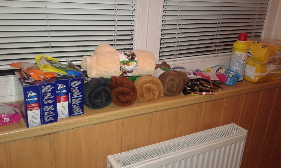 14517658_686557641508842_2789077462570769604_n