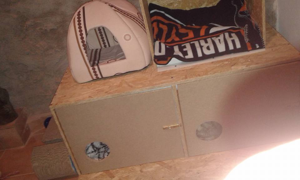 14520544_686557441508862_2793580321149670603_n