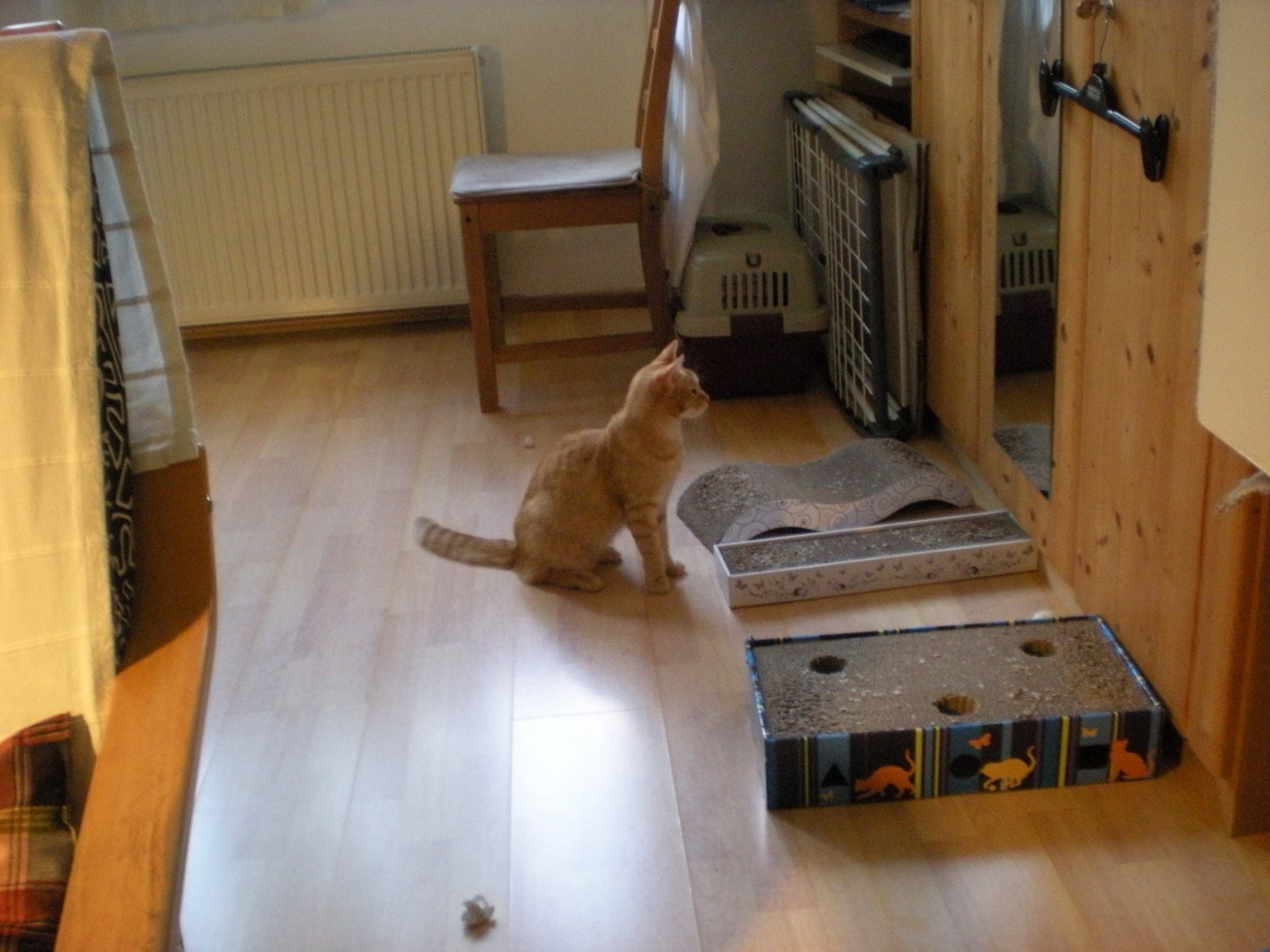 14524447_685441018287171_4545362400669204700_o